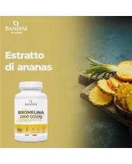 Bromelain 180 Capsules - digestive function, microcirculation