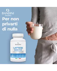 Lactase 15.000 FCC – 80 tablets