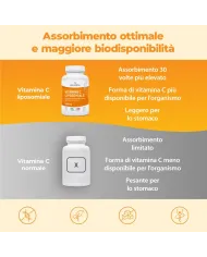 Liposomal Vitamin C capsules | 1000mg 180 Vegan Caps