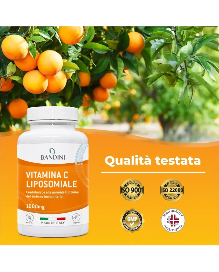 Liposomal Vitamin C capsules | 1000mg 180 Vegan Caps