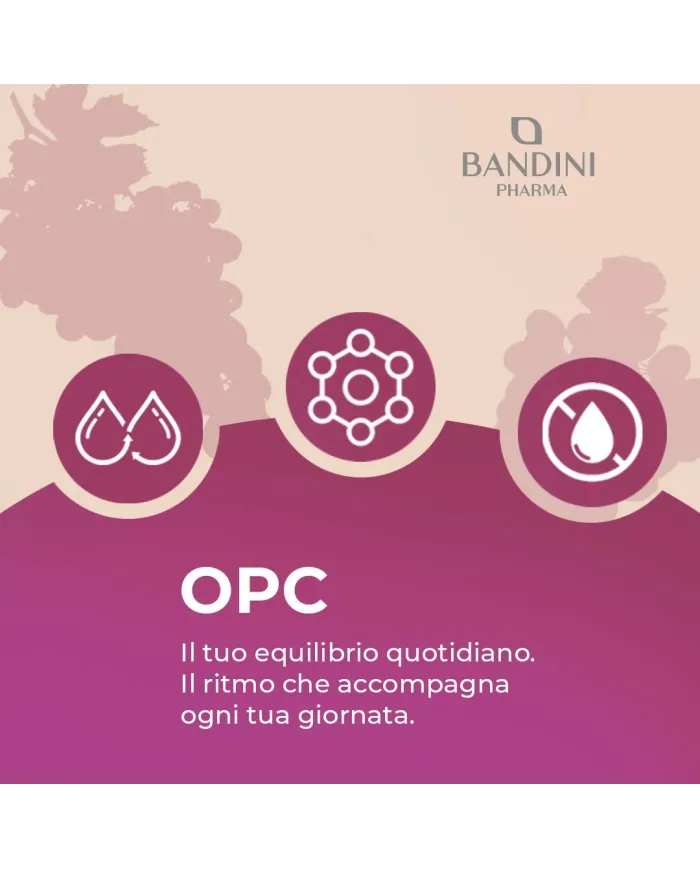 OPC 365 capsule uva italiana - Antiossidante & antinfiammatorio