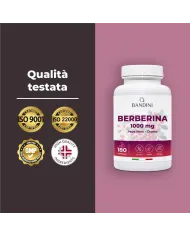 Berberine 180 capsules - liver function and digestion function