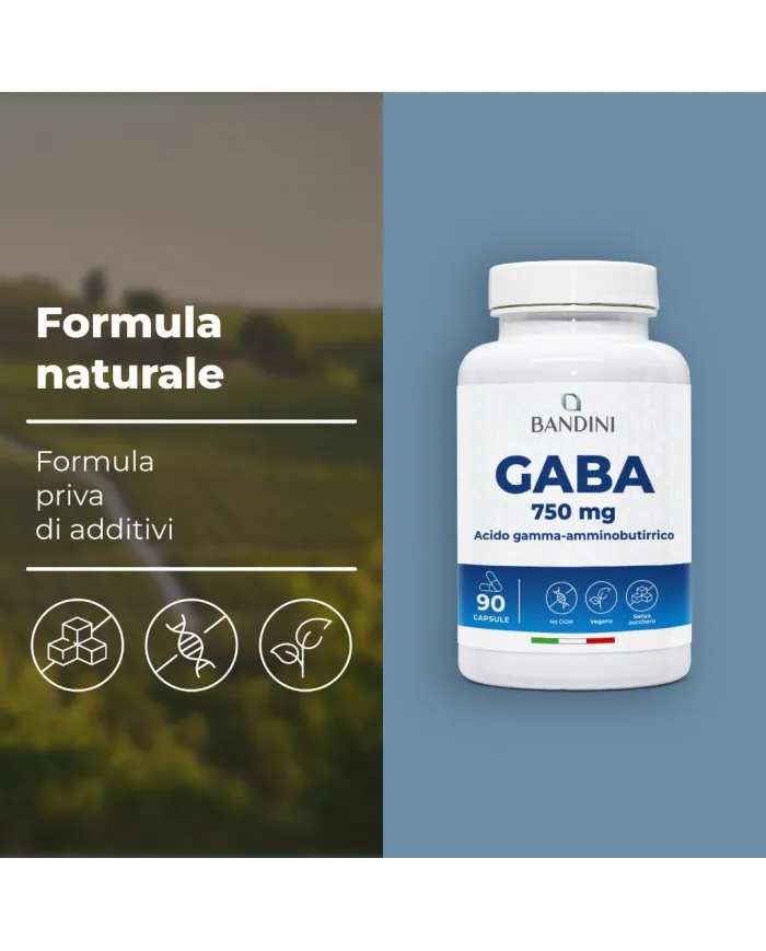 Gaba - 90 capsule di acido gamma-amminobutirrico