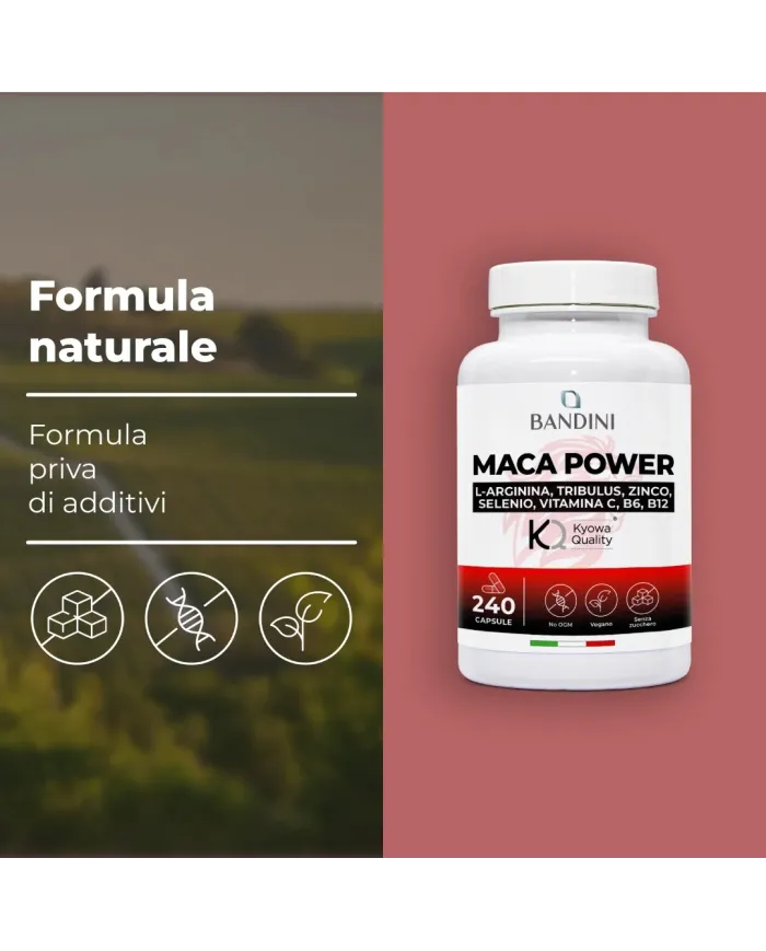 Maca Power 240 capsule alto dosaggio con Arginina e Tribulus