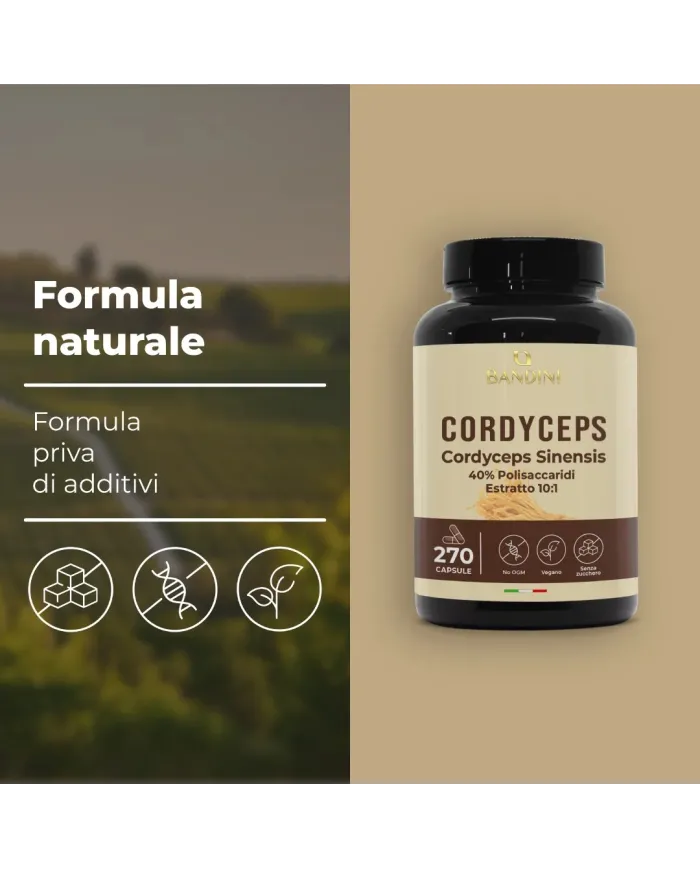 Cordyceps Sinensis 270 Capsule | Energia e difese immunitarie
