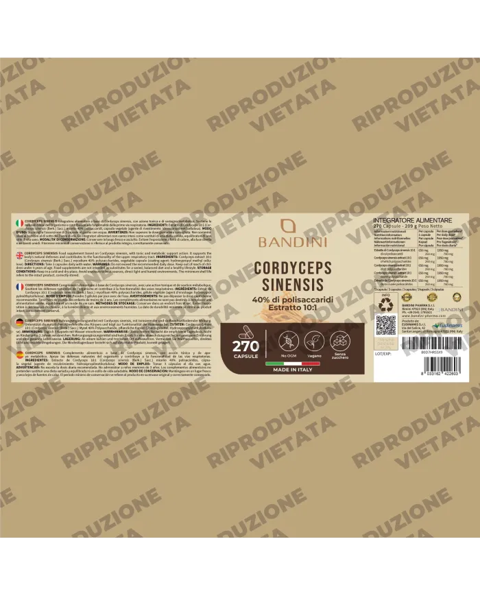 Cordyceps Sinensis 270 Capsules | Energy & Immune booster