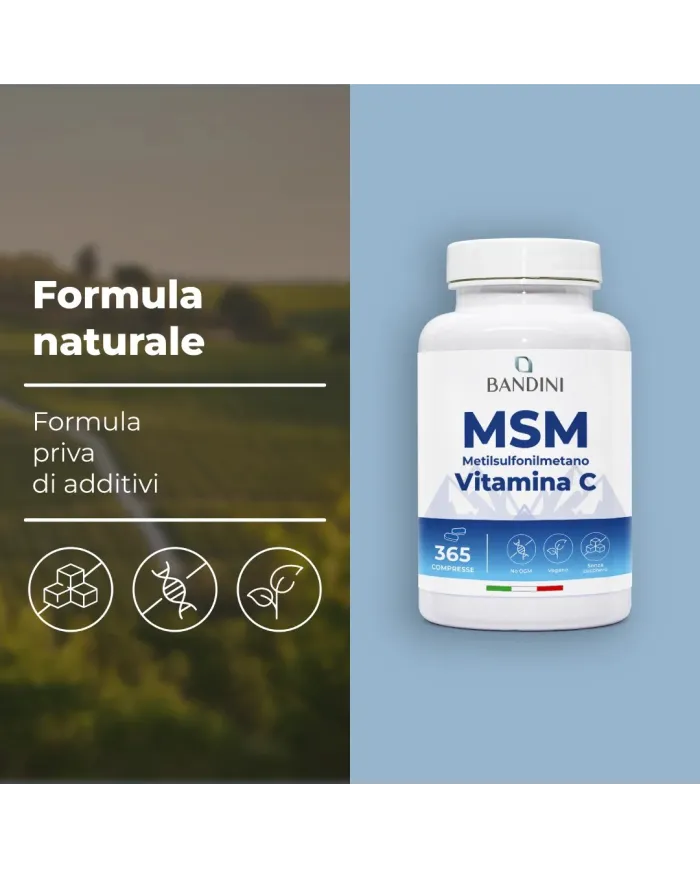 MSM 365 Compresse - Ossa, Articolazioni, Unghie e Capelli sani
