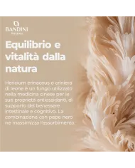 Lions Mane 365 compresse - Benessere intestinale e cognitivo