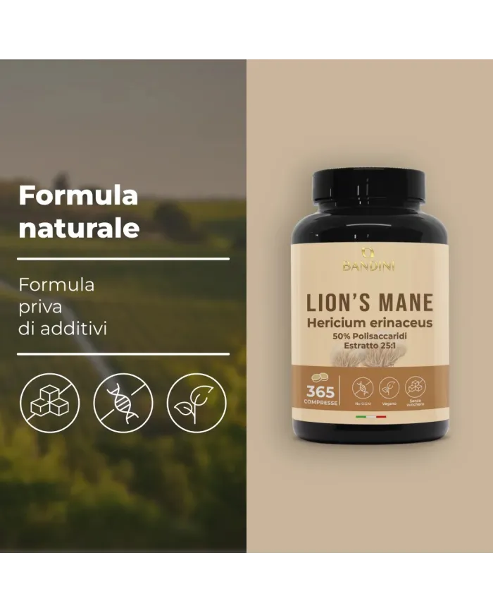 Lion's Mane 365 tablets - Intenstinal and cognitive health