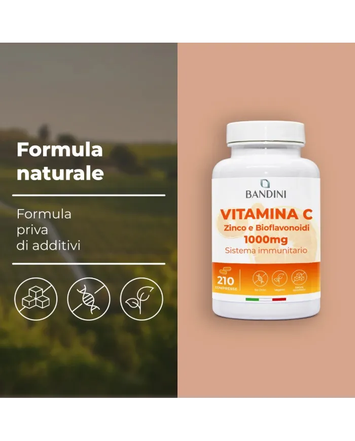 Vitamin C 1000mg 210 tablets food supplement with Zinc