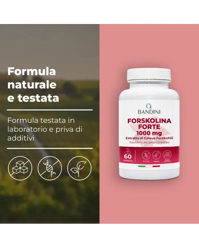 Forskolina integratore chetogenico | Controllo del peso corporeo