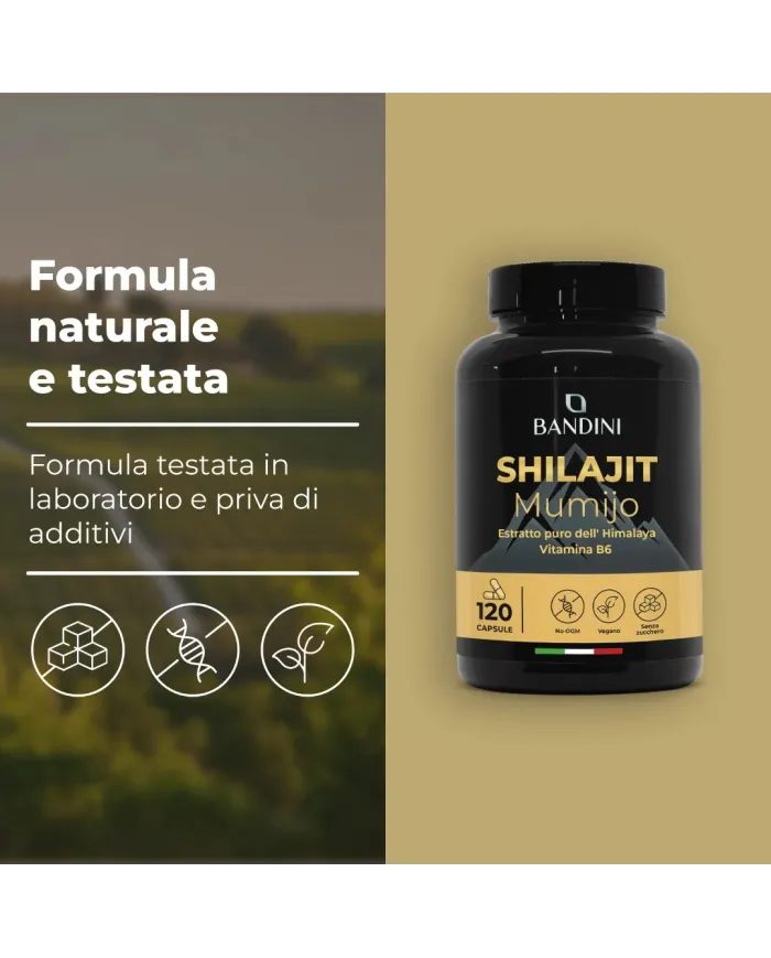 Shilajit puro Himalaya in capsule con Vitamina B6