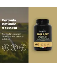 Shilajit puro Himalaya in capsule con Vitamina B6