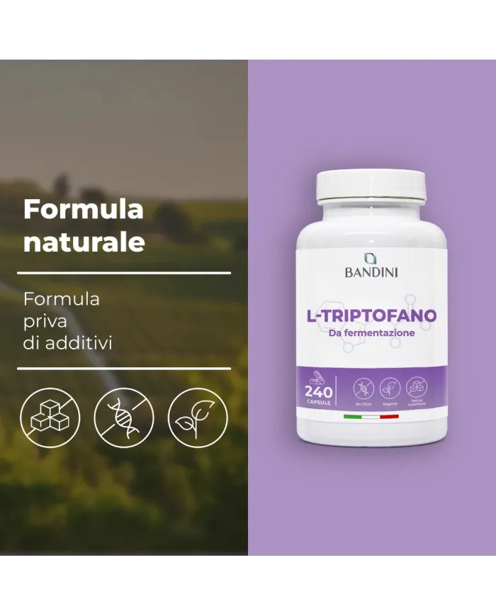L tryptophan 240 capsules for sleep and mental wellbeing