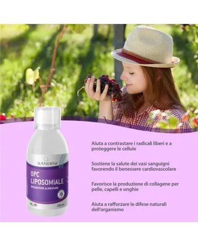 Liposomal OPC - Antioxydant grape seed extract