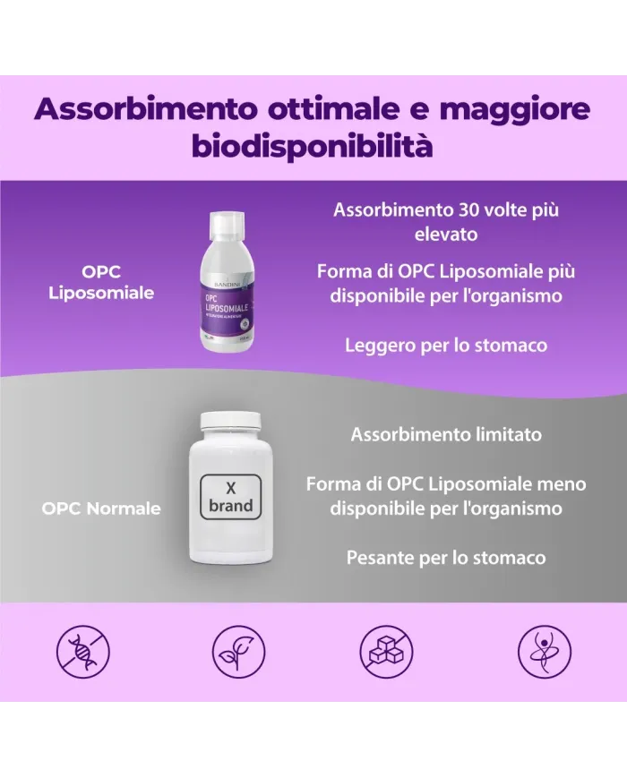Liposomal OPC - Antioxydant grape seed extract