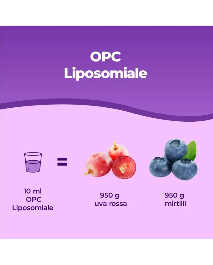 Bandini® OPC liposomiale - Estratto di semi d'uva antiossidante