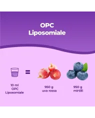 Bandini® OPC liposomiale - Estratto di semi d'uva antiossidante