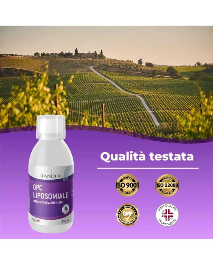 Bandini® OPC liposomiale - Estratto di semi d'uva antiossidante