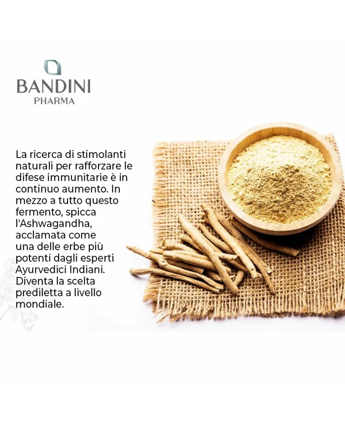 Ashwagandha compresse - Ginseng indiano contro la stanchezza