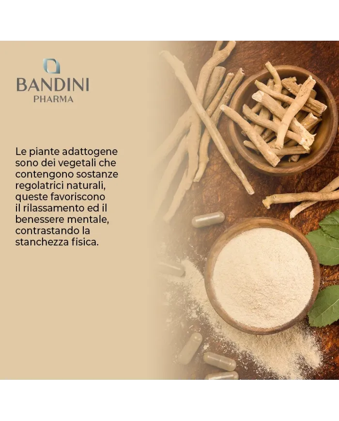 Ashwagandha compresse - Ginseng indiano contro la stanchezza