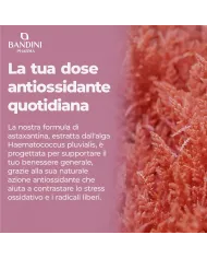 Astaxantina pura 90 capsule da 18 mg - Antiossidante potente