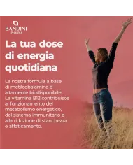 Vitamina B12 metilcobalamina - 450 compresse