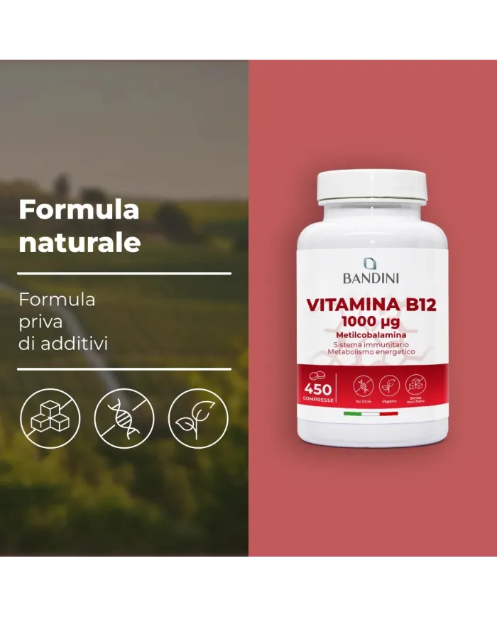 Vitamina B12 metilcobalamina - 450 compresse
