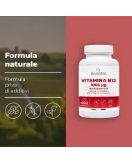 Vitamina B12 metilcobalamina - 450 compresse