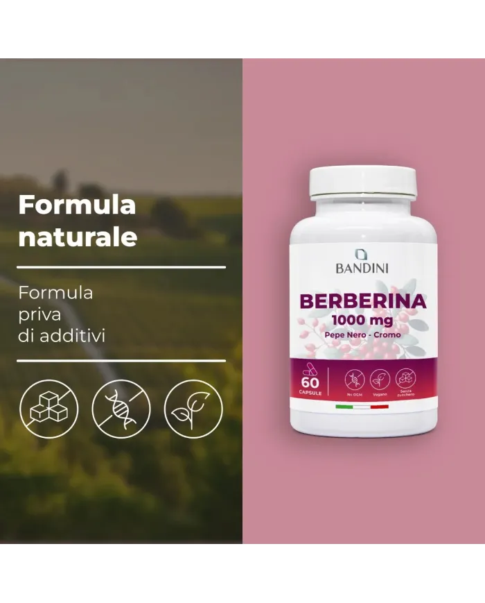 Berberina 60 capsule per la digestione e il fegato
