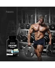 Creatina Creapure© 240 compresse per la nutrizione sportiva
