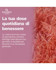 Astaxantina 8 mg in compresse - Antiossidante naturale