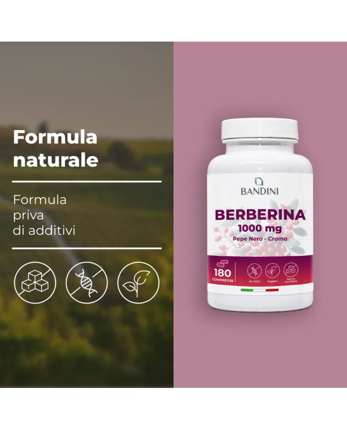 Berberine tablets improves digestion and metabolism