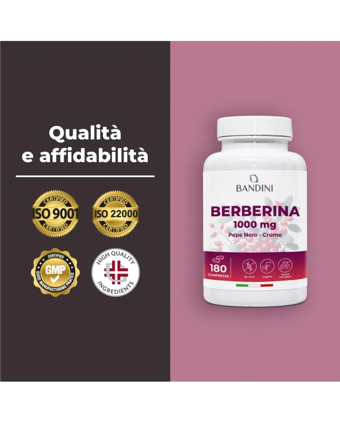 Berberina compresse migliora la digestione e il metabolismo