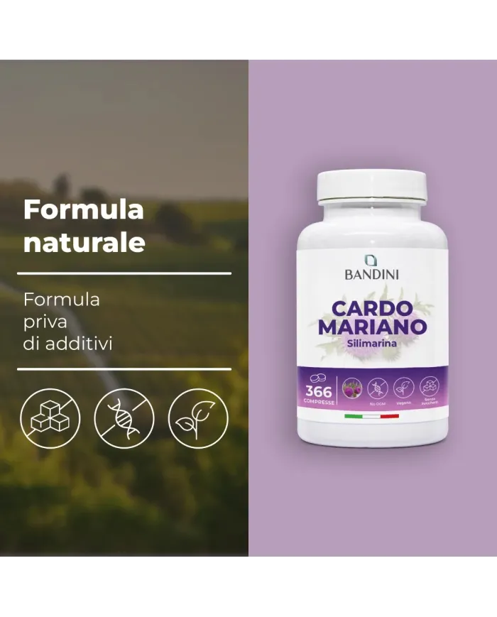 Cardo Mariano compresse per il fegato e la digestione