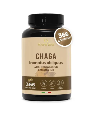 Chaga Fungo Inonotus Obliquus 366 compresse - Micoterapia