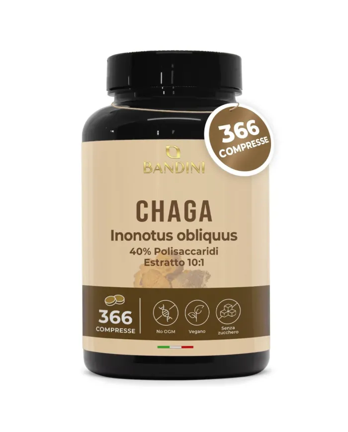 Chaga Mushroom Inonotus Obliquus 366 tablets- Mycotherapy