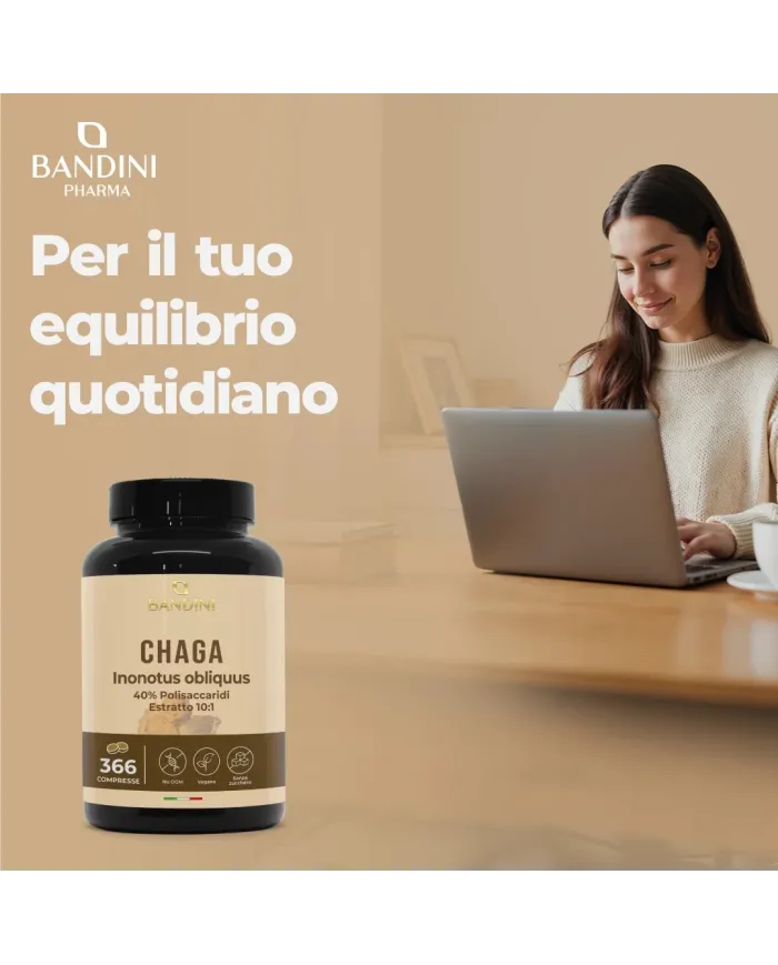 Chaga Fungo Inonotus Obliquus 366 compresse - Micoterapia