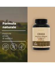 Chaga Fungo Inonotus Obliquus 366 compresse - Micoterapia