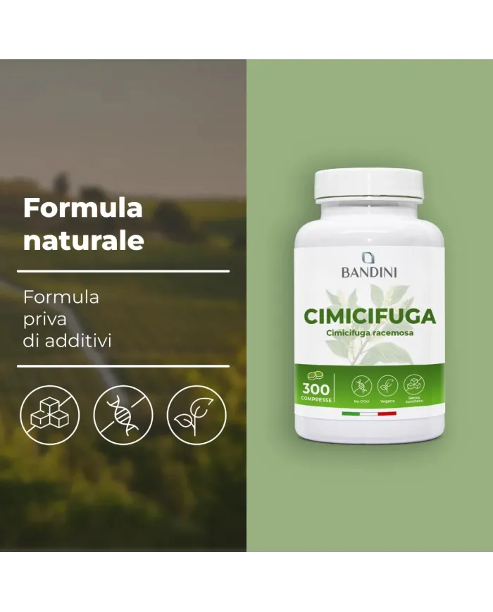 Cimicifuga Racemosa compresse per i sintomi della Menopausa