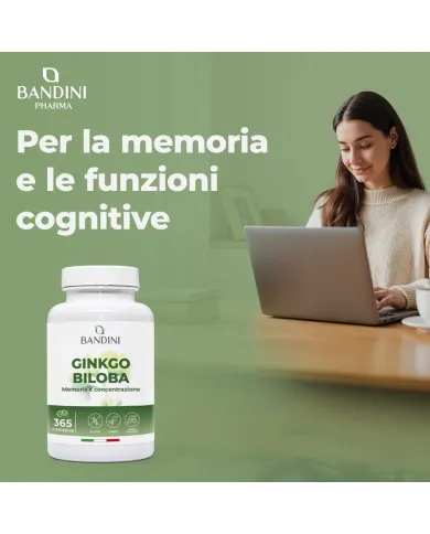 Ginkgo Biloba with Siberian ginseng - 365 tablets