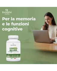 Ginkgo Biloba with Siberian ginseng - 365 tablets