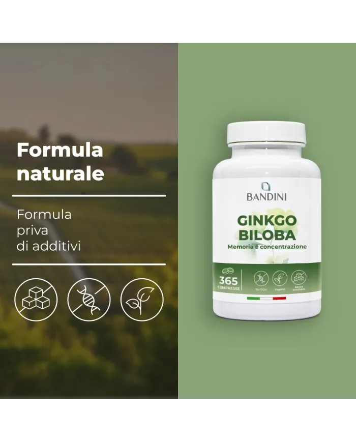 Ginkgo Biloba Ginseng siberiano - 365 compresse