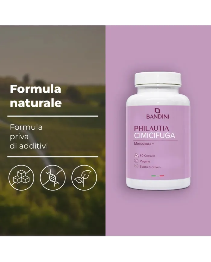 Black cohosh capsules for menopausal symptoms