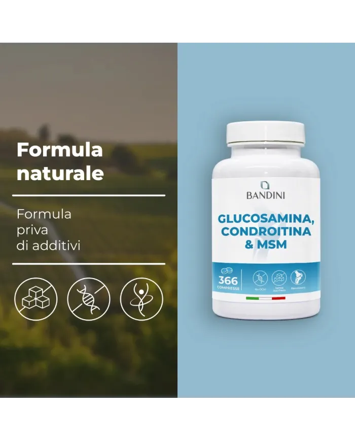 Glucosamina condroitina compresse per le Articolazioni