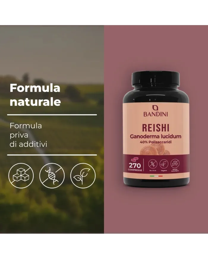 Reishi Fungo Ganoderma Lucidum in compresse