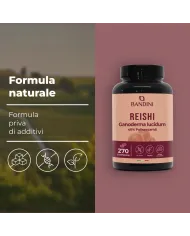 Reishi Fungo Ganoderma Lucidum in compresse