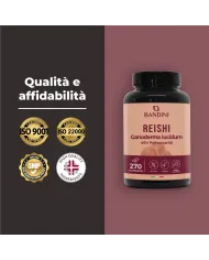 Reishi Ganoderma Lucidum Mushroom Tablets