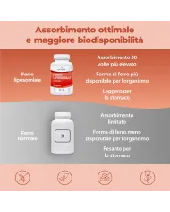 Bandini® - Liposomal Iron 60 Capsules with Vitamins