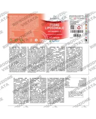 Bandini® - Ferro Liposomiale 60 capsule con Vitamine